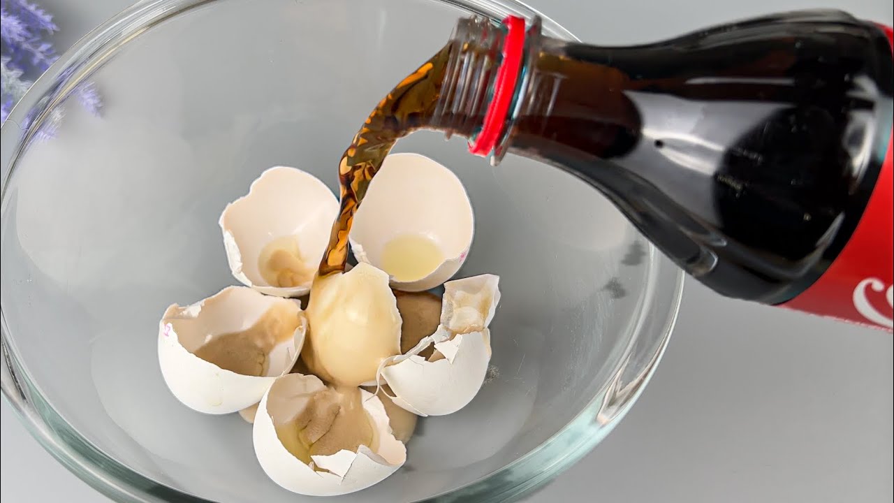 Incredible Gardening Hack: Mixing Coca-Cola with Eggshells