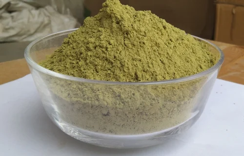 Unlocking the Power of Moringa: From Leaf to Seed Powder