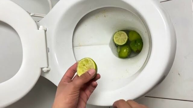 Just Take a Lemon: Brighten and Freshen Your Toilet for 15 Days