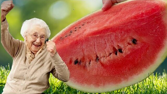 Watermelon Wonders: Nature’s Refreshing Healer