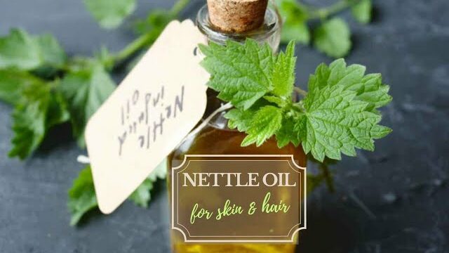 Discover the Benefits of Stinging Nettle Oil