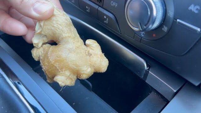 Why Keeping Ginger in Your Car Could Be a Lifesaver