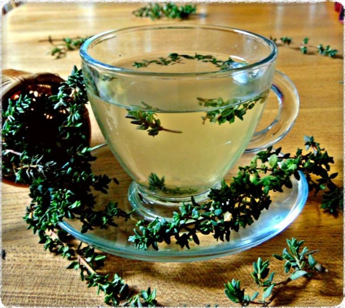 Discover the Delights of Broad Leaf Thyme Tea