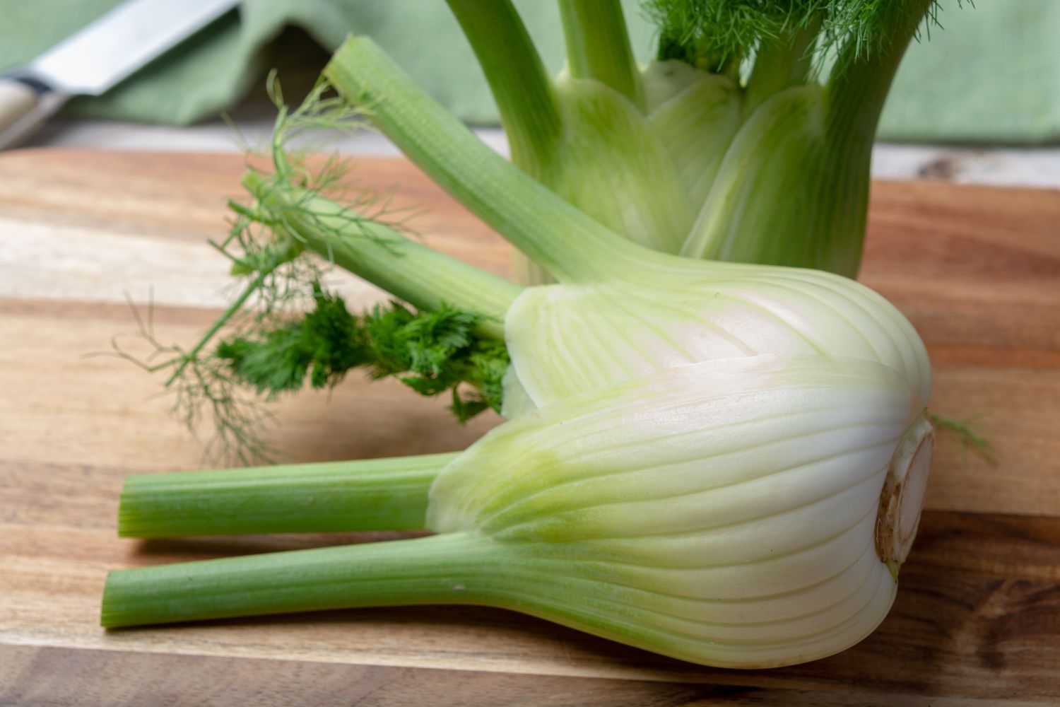 Brewing a Soothing Cup of Fennel Tea