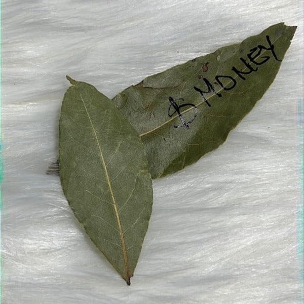 The Many Wonders of Bay Leaves