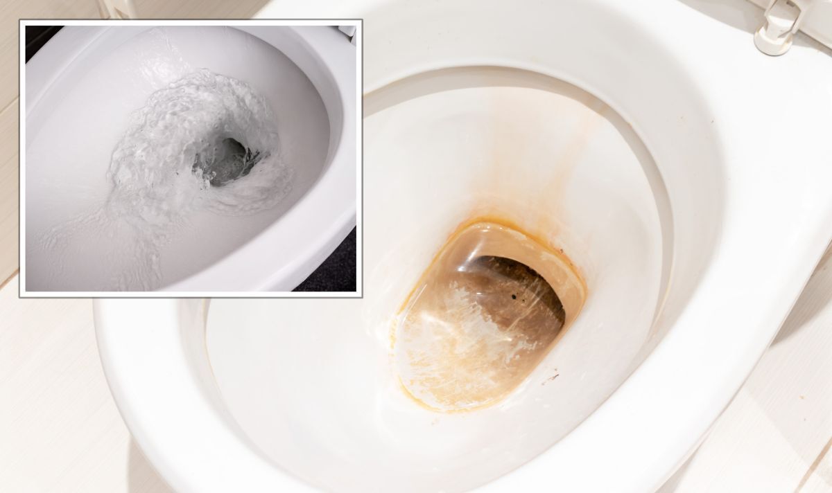 The Effects of Using Coke to Clean a Dirty Toilet