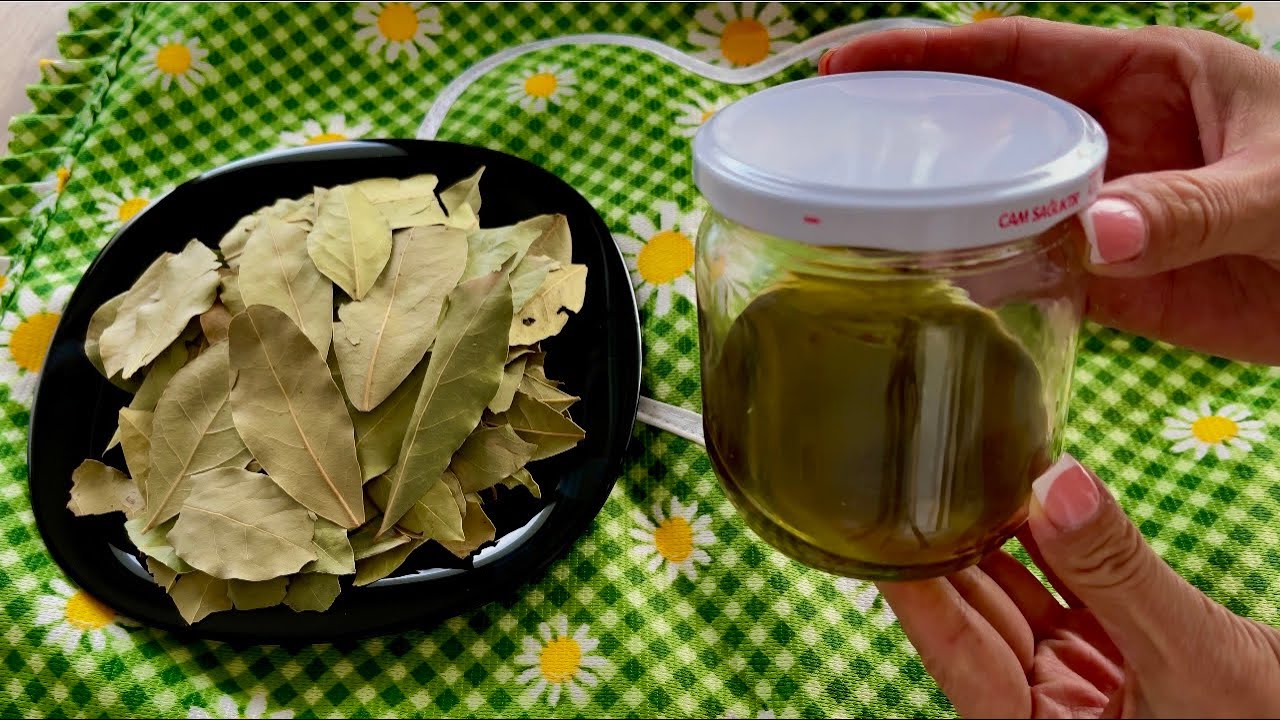 Say Goodbye to Varicose and Joint Pains with Just a Bay Leaf