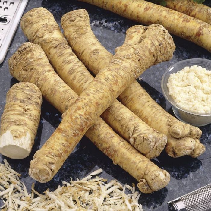 Unveil the Potent Benefits of Horseradish for Respiratory Health