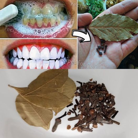 Natural Remedies for a Brighter Smile and Healthier Teeth