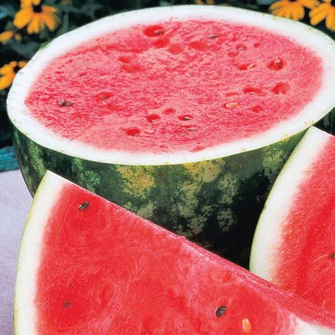 Unveiling the Hidden Treasures of Watermelon Seeds