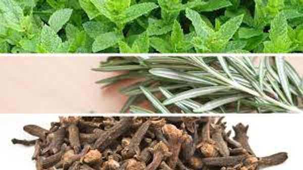 Healthy Hair with Rosemary and Cloves