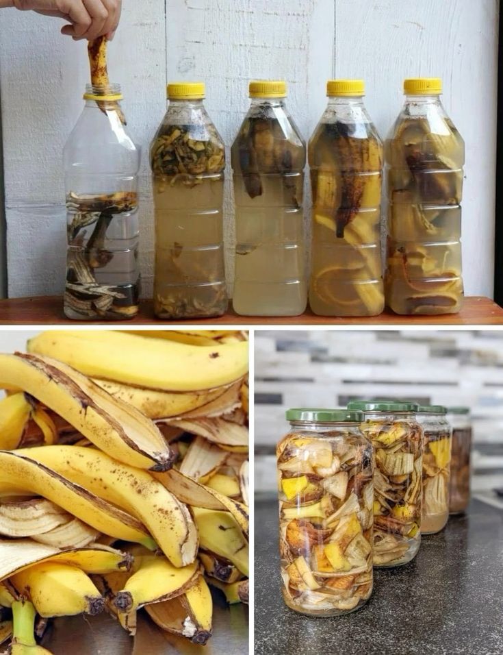 How to Make Banana Vinegar at Home: Vinegar with Mother Recipe