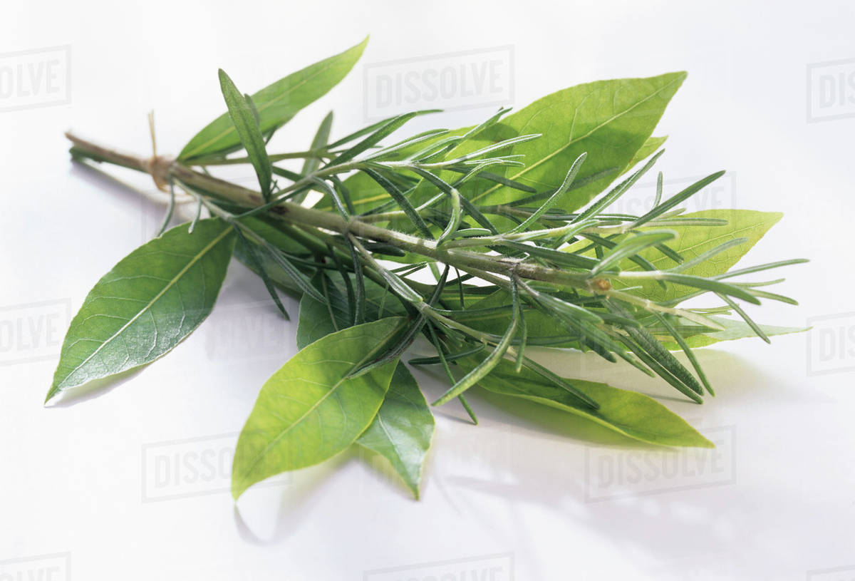 Pain in the Joints and Bones Disappears in 7 Days! Bay Leaves and Rosemary Remedy