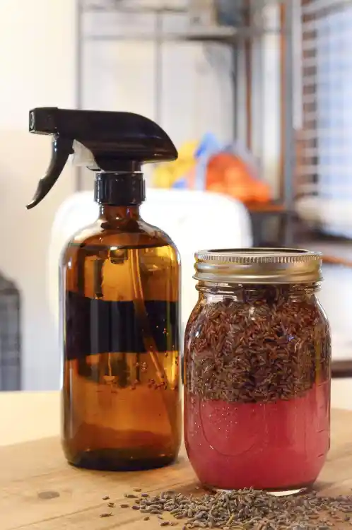 Discover the Wonders of Mixing Vinegar with Lavender for a Natural Home Solution