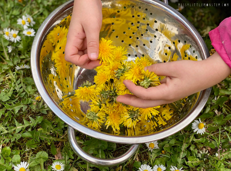 Delight in the Natural Sweetness of Dandelion Honey