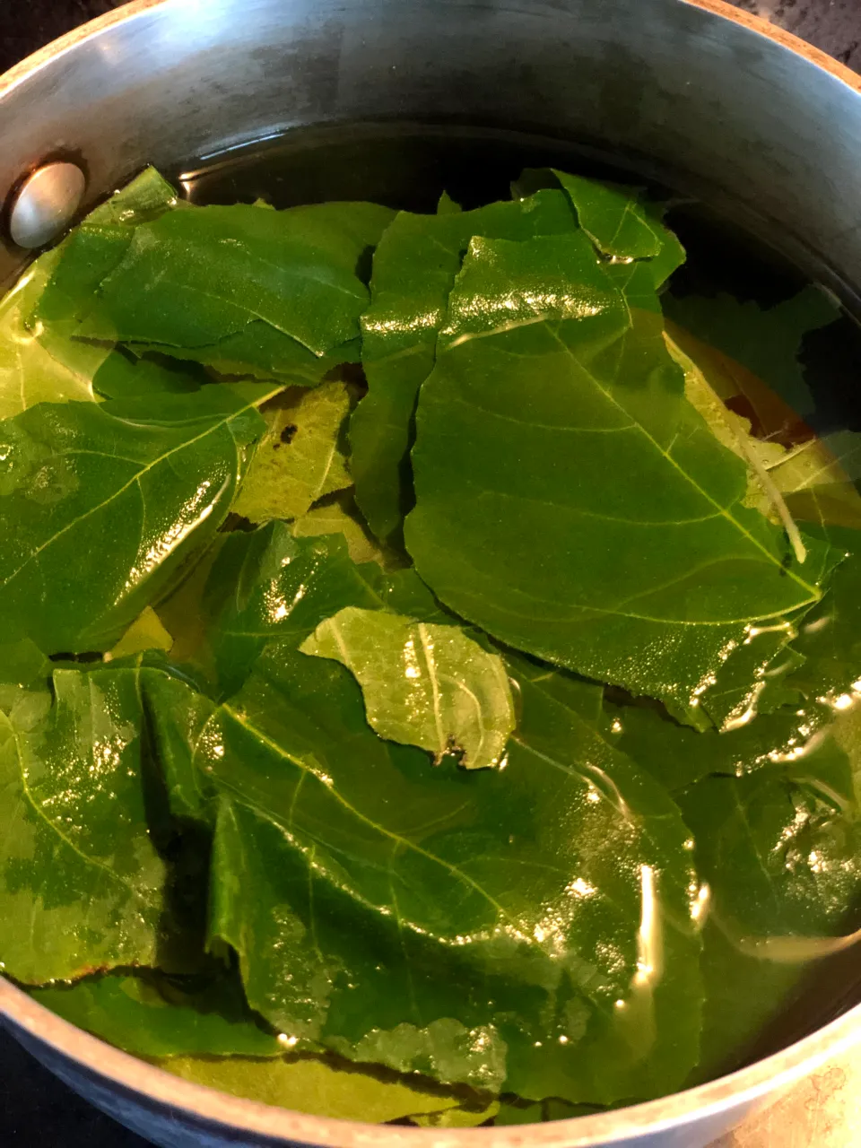 Immediately Lowers Blood Sugar: Boil Fig Leaves, Drink the Liquid, and You Will Be Grateful