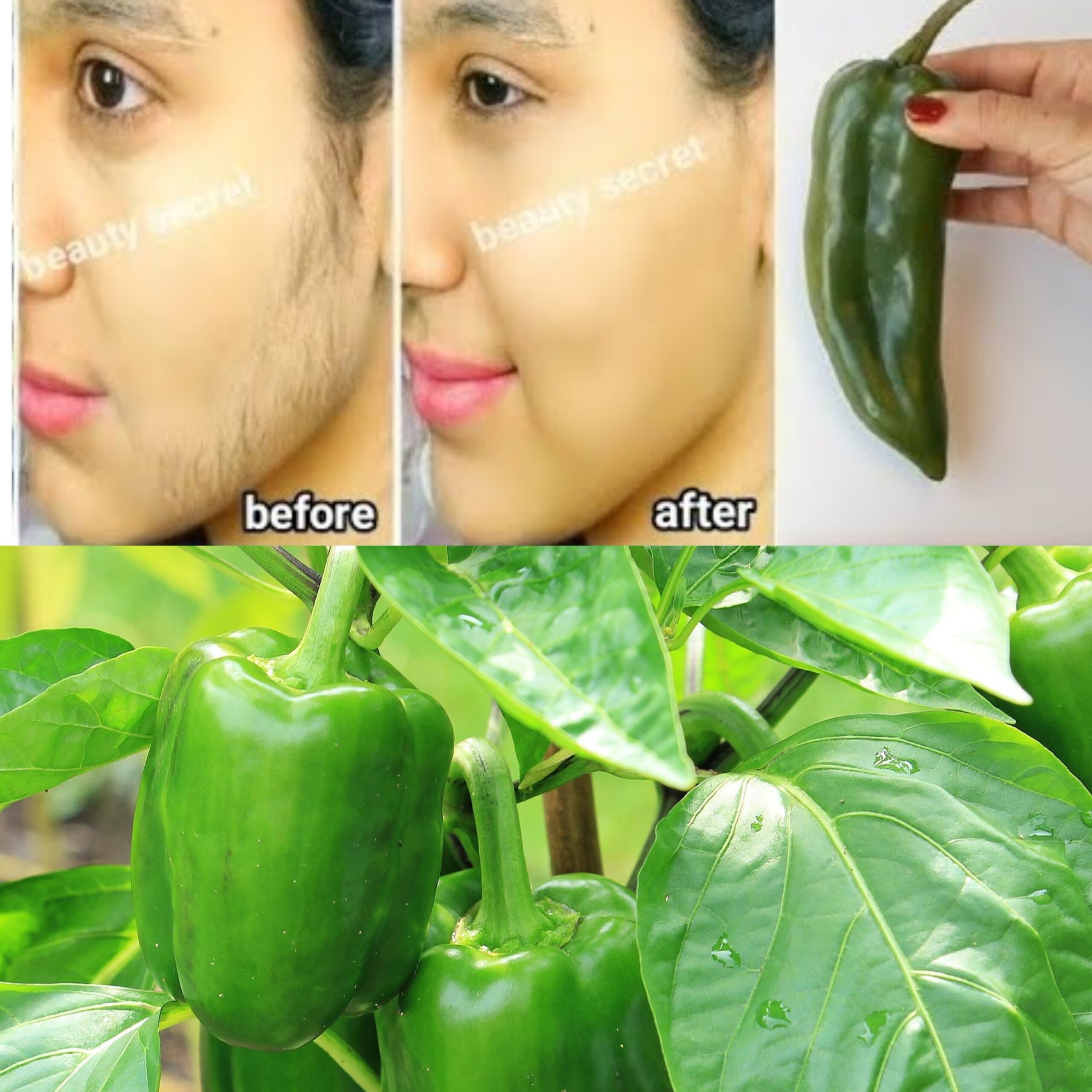 Natural Hair Removal with Green Pepper: Say Goodbye to Shaving