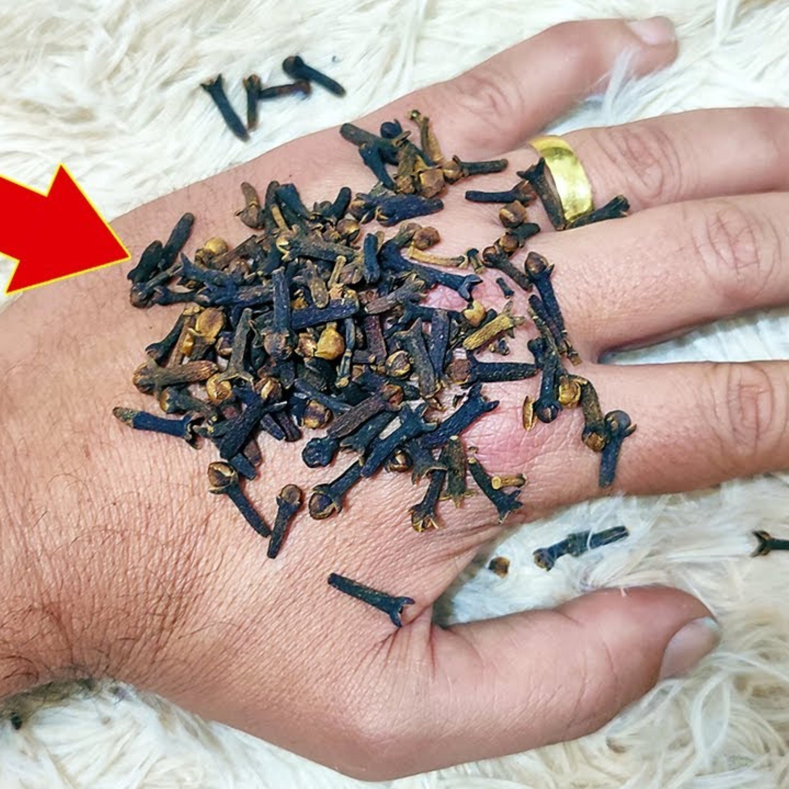 Put Cloves in Your Hand and You Won’t Have to Spend Money at the Pharmacy Anymore (Did You Know That?)