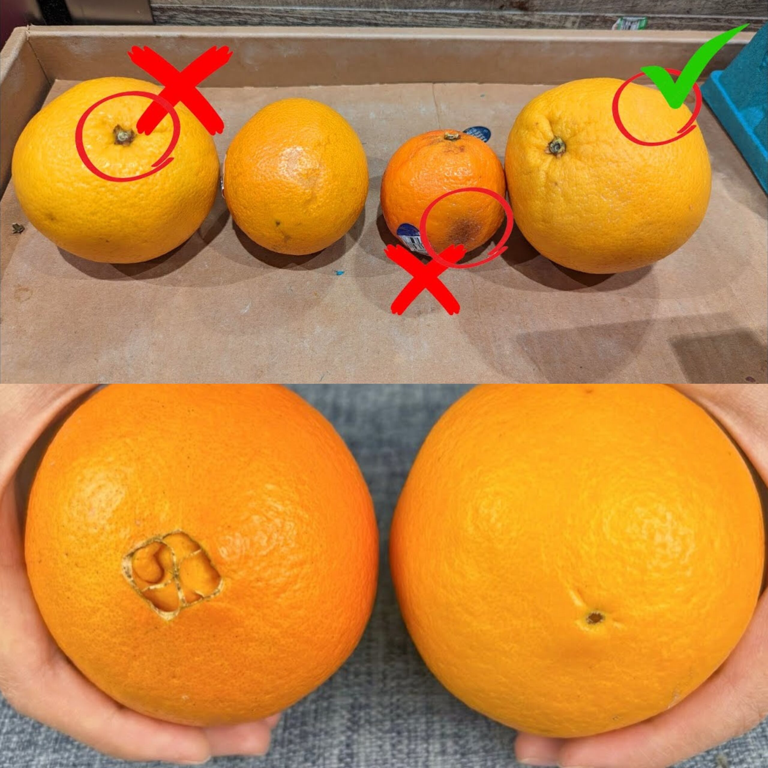 Unlock the Secret to Picking the Juiciest, Sweetest Oranges