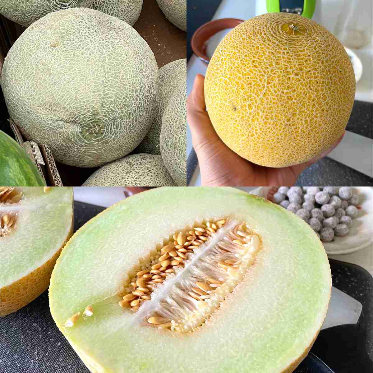 A Natural Remedy for Escherichia coli and Urinary Infections: Melon Seed Tea