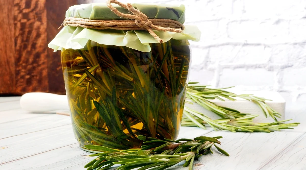 Rosemary Oil (Macerate): A Must-Have Natural Remedy for Every Home