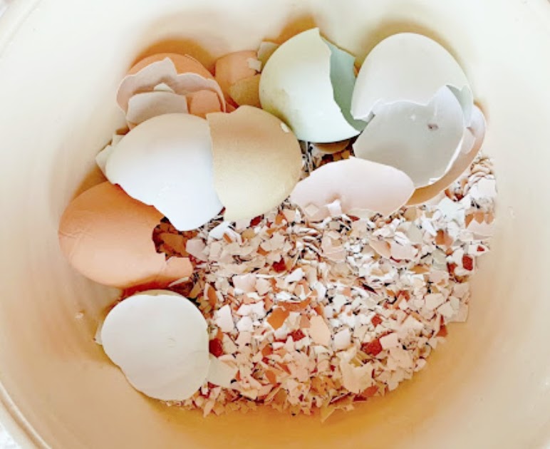 Discover the Surprising Benefits of Eggshells