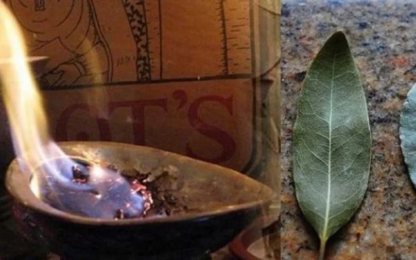 6 Incredible Benefits of Burning Bay Leaves