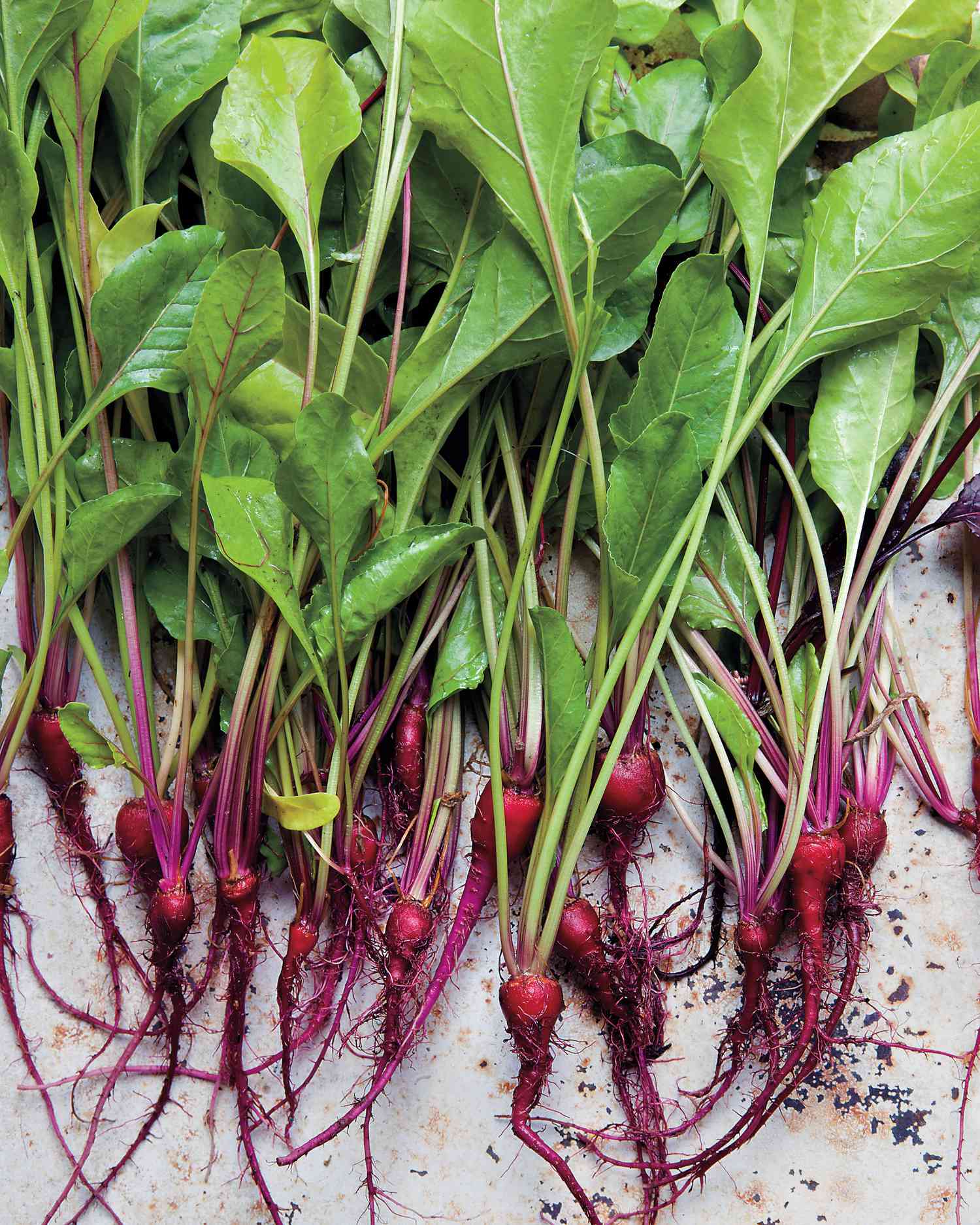 Melt the Stone in the Bile and Renew the Gallbladder: A Natural, Folk Remedy with Beet Leaves