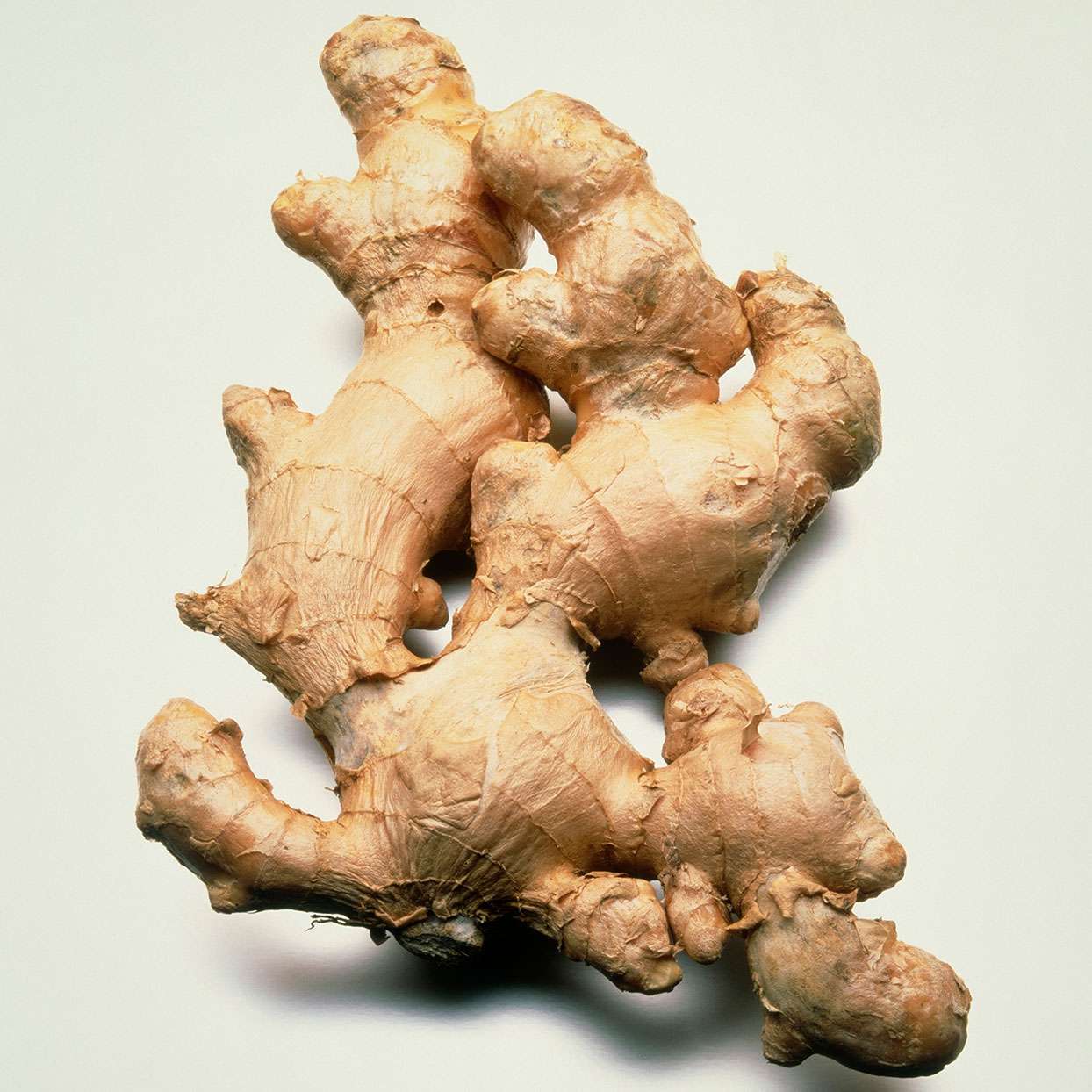 Natural Relief for Varicose Veins and Joint Pain Using Ginger