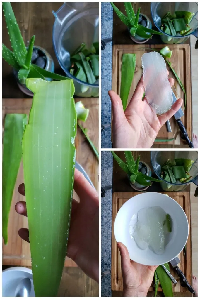 How to make pure organic aloe vera gel at home and preserve for months.