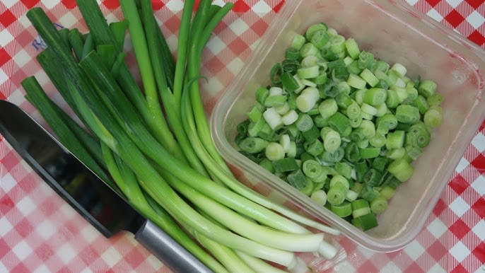 4 Ways Preserve Scallions for Weeks or Months