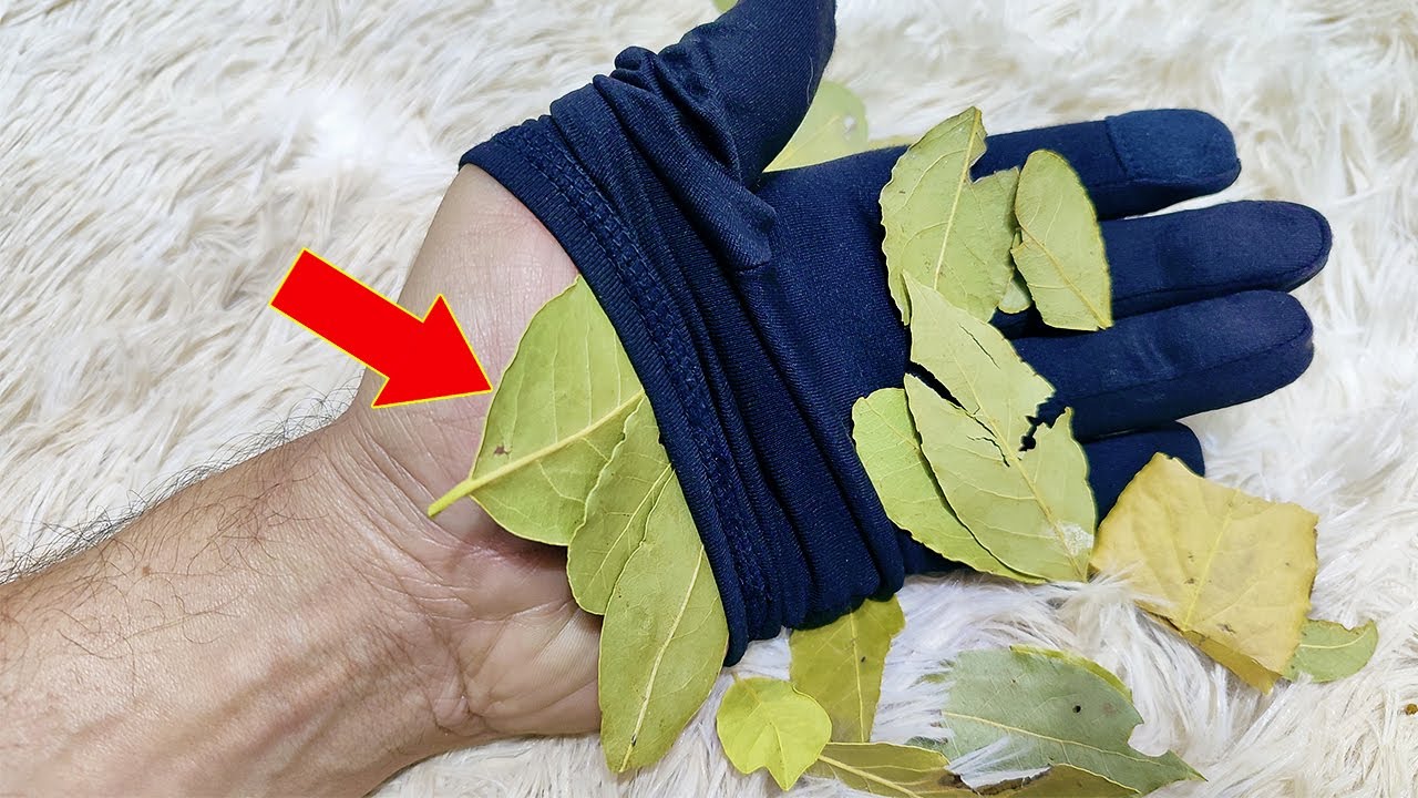 Put 1 Bay Leaf in Your Hands and Don’t Spend More at the Pharmacy: The Surprising Benefits