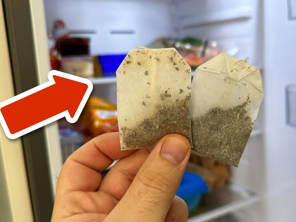 The Sadly Secret Trick with Tea Bags in the Fridge 💥 (Ingenious) 🤯