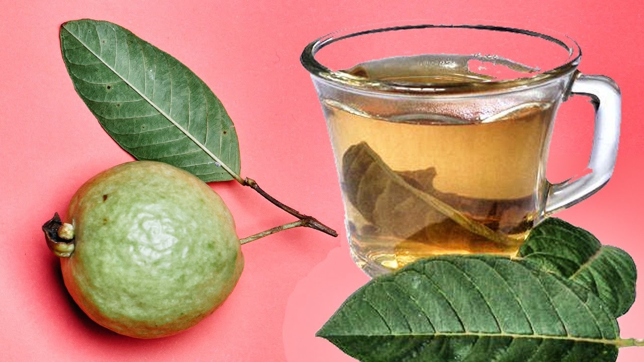 🍃 This Is What Happens If You Drink Guava Leaf Tea 🍃 – 3 Benefits