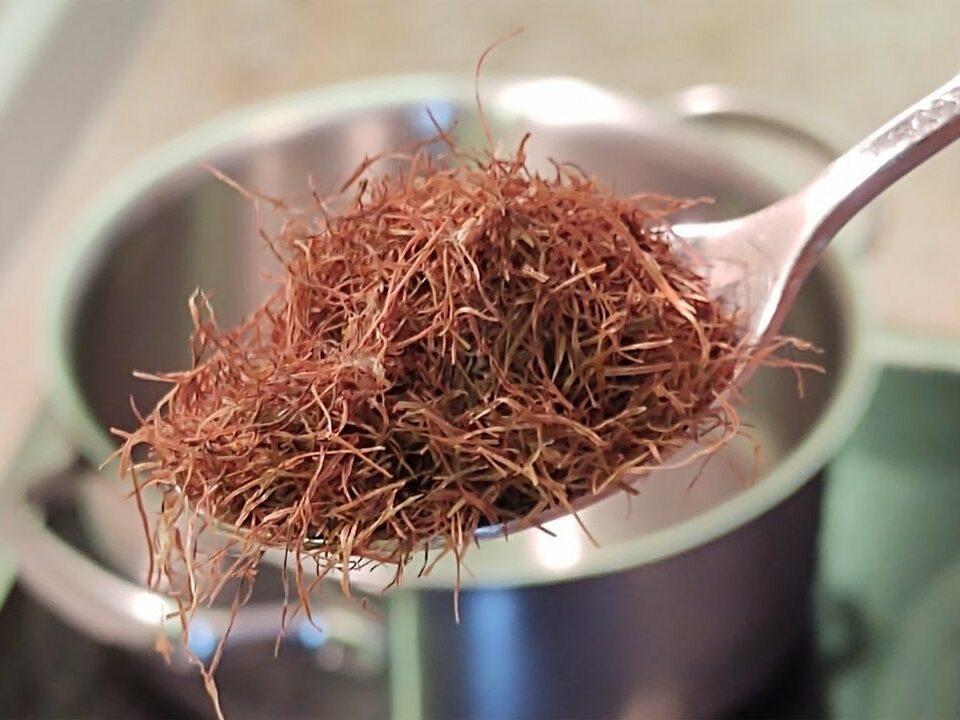 Boil Corn Silk, Drink the Liquid, and You Will Be Grateful for This Advice