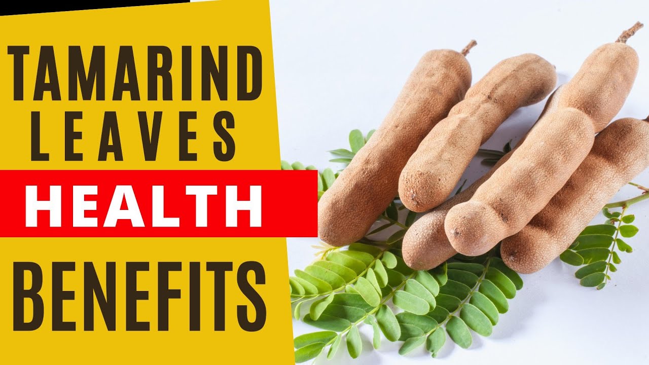 Discover the Nutritional Power of Tamarind Leaves