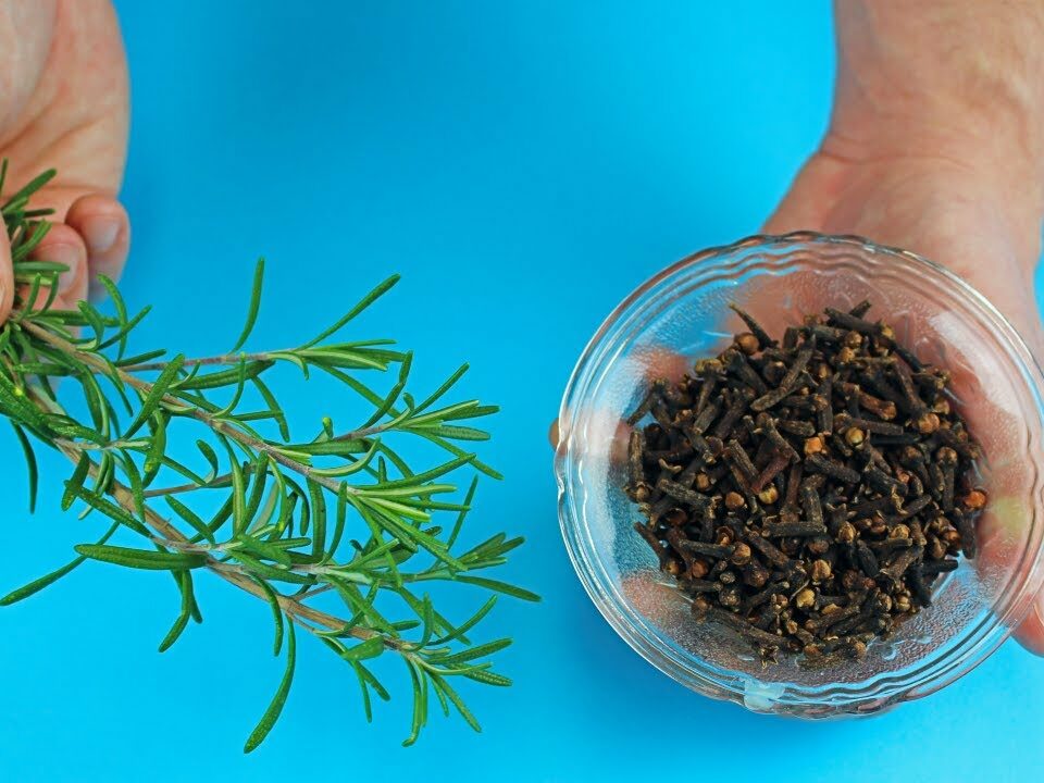 Rosemary and Cloves Tea: Your New Go-To Immunity-Boosting Elixir