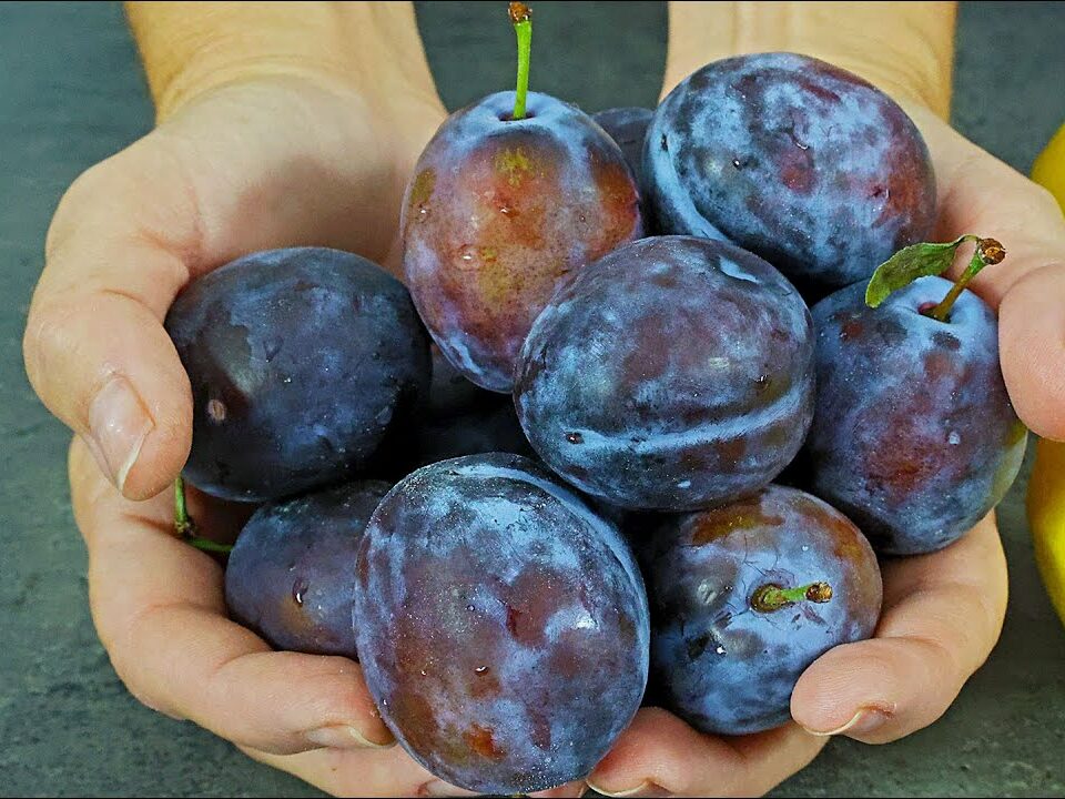 Prevent Stroke and Heart Attack: A Natural Remedy for Cleaning Blood Vessels and Lowering Blood Sugar with Lemons and Prunes