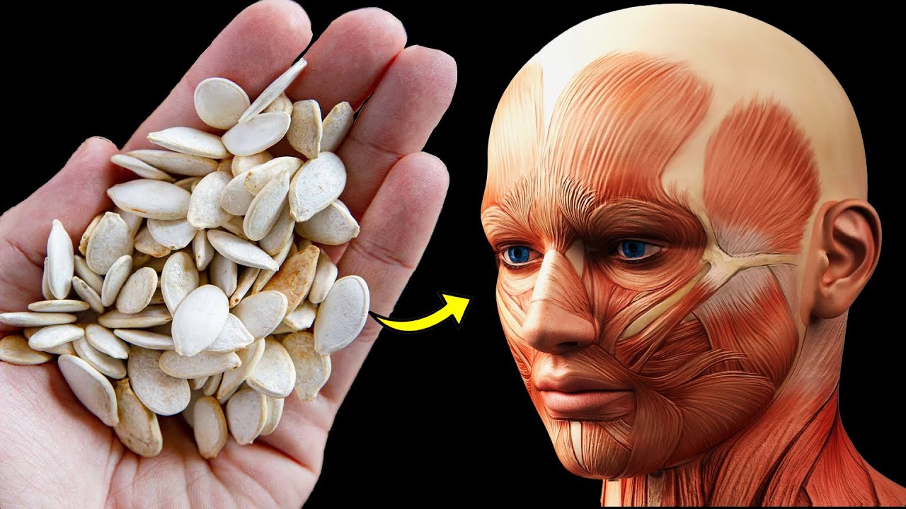 What Happens to Your Body If You Eat Pumpkin Seeds Every Day