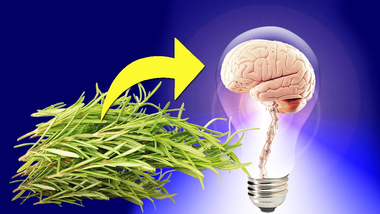 What Does Rosemary Do to Your Brain?