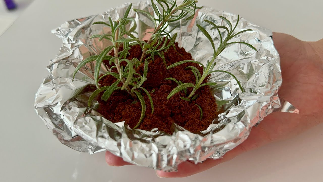 Transform Your Morning Brew: Stick Rosemary in Your Coffee for Stunning Effects