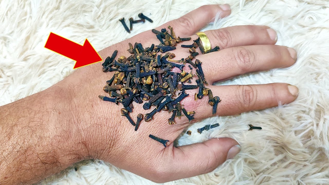 Put cloves in your hand and won’t have to spend money at the pharmacy anymore (Did you know that?)