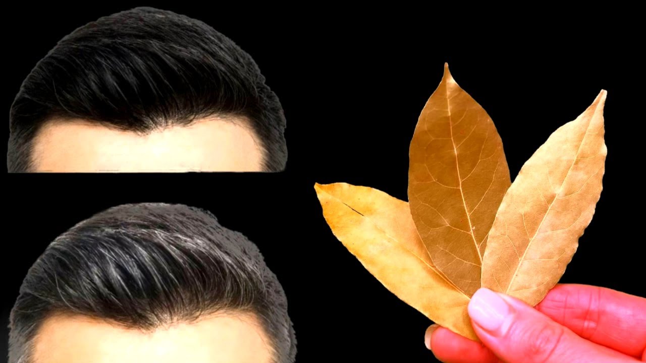 Gray Hair Will Disappear Forever in Just 4 Minutes: The Bay Leaf Solution