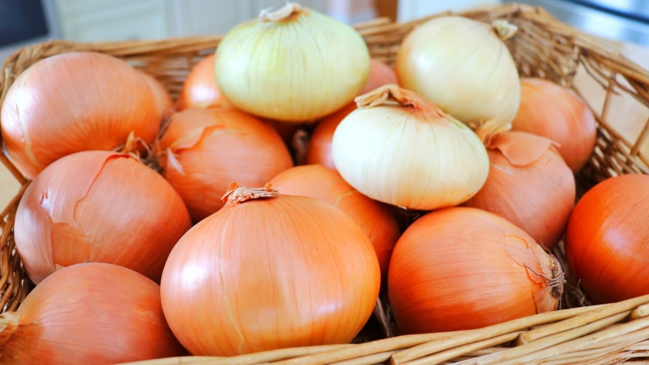 5 Ways to Store Onions for Long Term (Weeks, Months, or 1 Year) 🧅