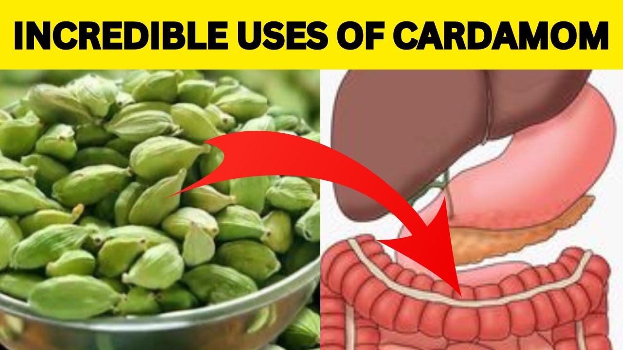 Incredible Health Benefits and Uses of Cardamom