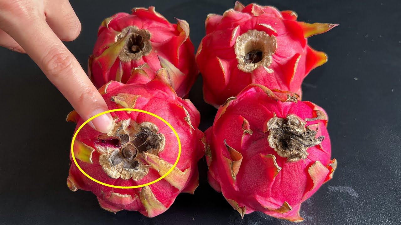 Smart Shopping: 5 Types of Dragon Fruit to Avoid