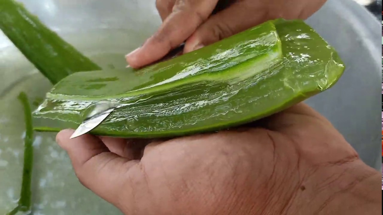 How to Make Aloe Vera Juice at Home