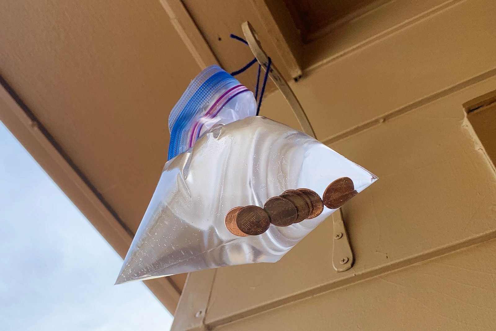 FLIES Run 2 Kilometers from Your House If You Do This! Free Dispersal: Water in a Plastic Bag with Coins