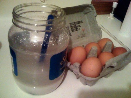 Preserving Raw Eggs for a Year Without a Refrigerator: The Salt Method