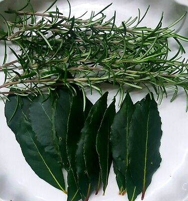 Korean Doctors Cured My Baldness with This Recipe! My Hair is Growing Like Crazy with Bay Leaves